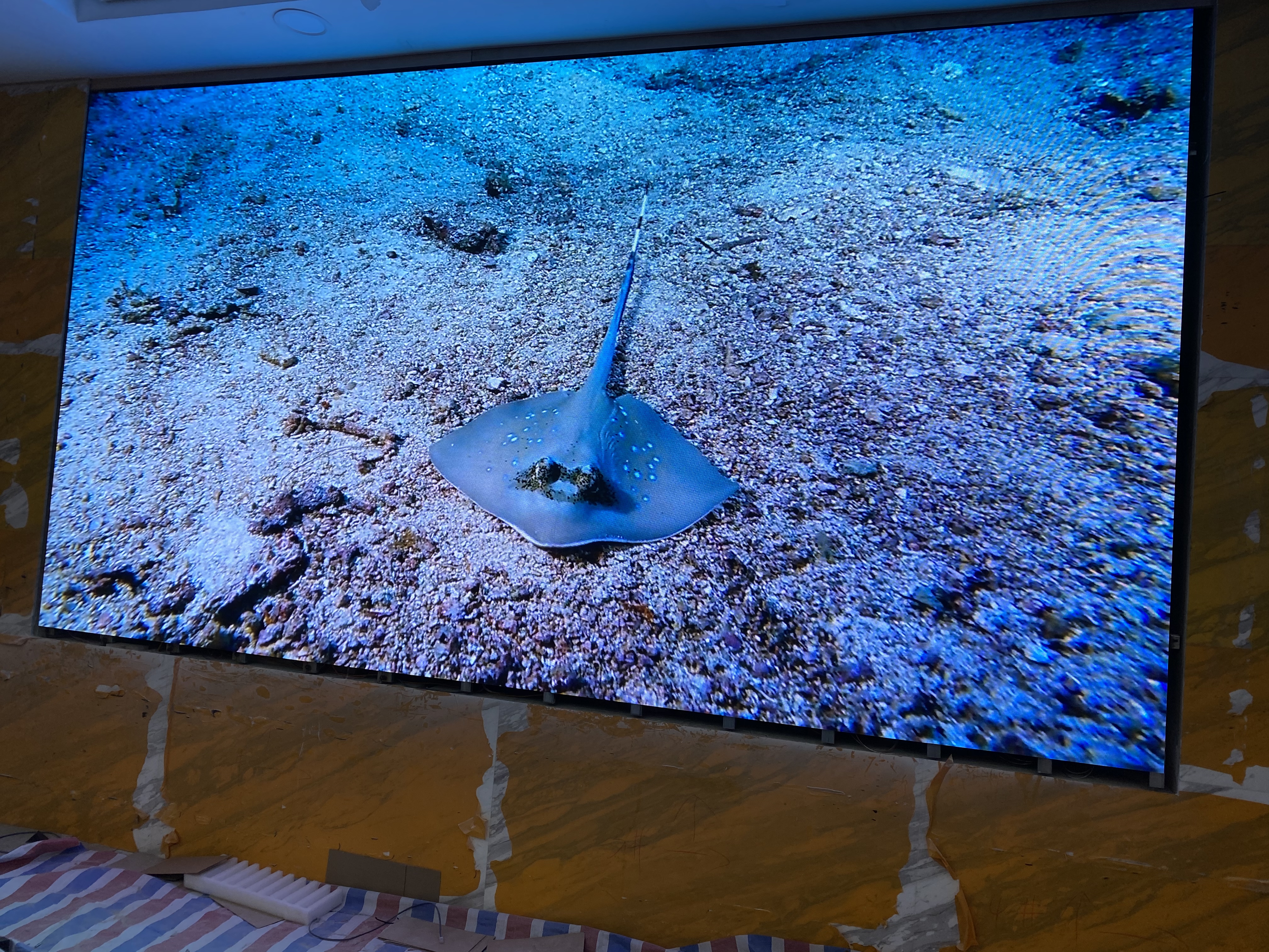 �����н�(j��ng)�_�^(q��)��ί���҃�(n��i)P1.66ȫ��